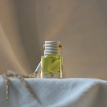 Load image into Gallery viewer, Citrus Sorbet Car Diffuser