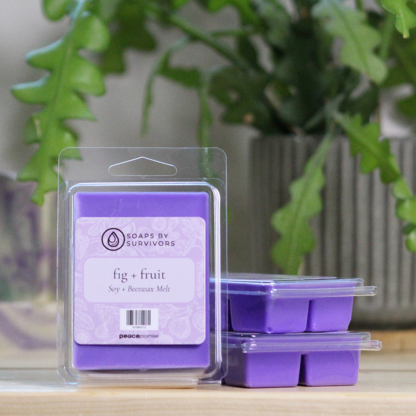 Fig + Fruit Wax Melt