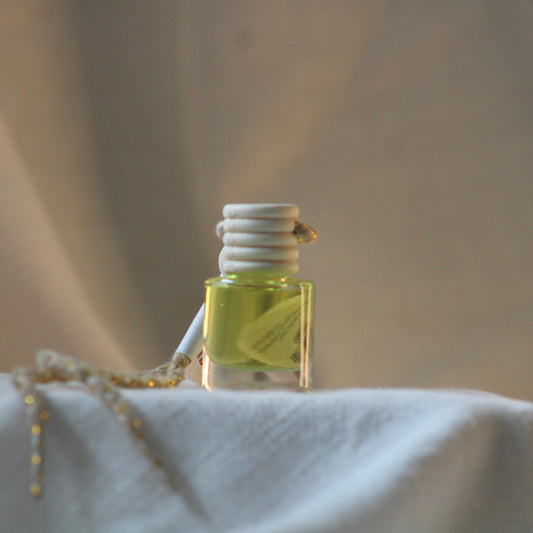 Citrus Sorbet Car Diffuser