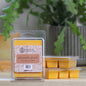 Pleasantly Peach Wax Melt
